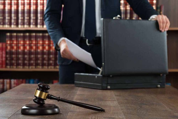 Legal malpractice lawyer