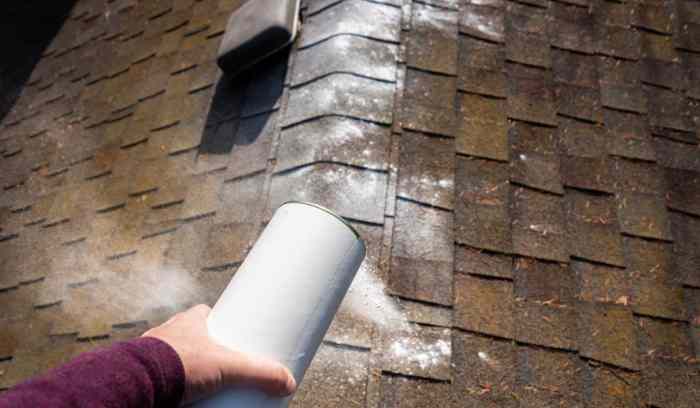 Best time of year to remove moss from roof